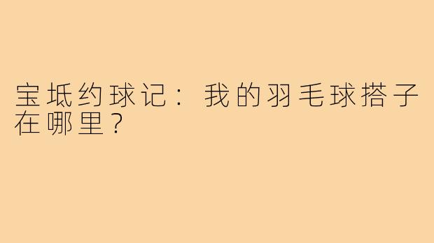 宝坻约球记:我的羽毛球搭子在哪里?