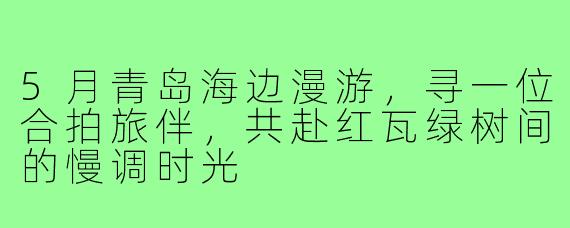 5月青岛海边漫游,寻一位合拍旅伴,共赴红瓦绿树间的慢调时光
