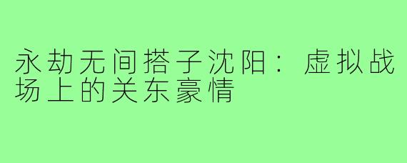 永劫无间搭子沈阳：虚拟战场上的关东豪情