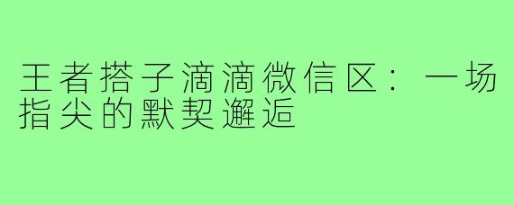 王者搭子滴滴微信区:一场指尖的默契邂逅