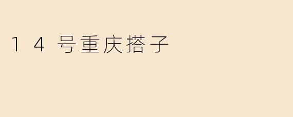 14号重庆搭子
