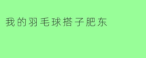 我的羽毛球搭子肥东