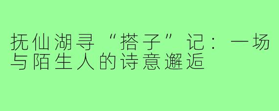 抚仙湖寻“搭子”记:一场与陌生人的诗意邂逅