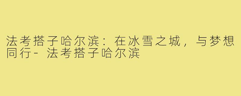 法考搭子哈尔滨：在冰雪之城，与梦想同行-法考搭子哈尔滨