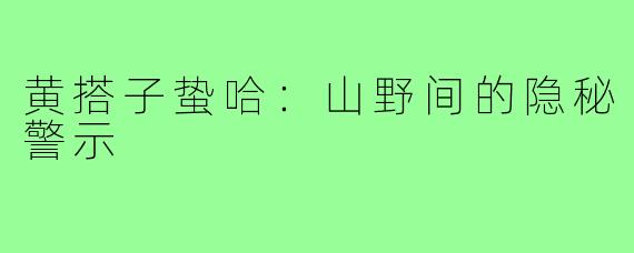 黄搭子蛰哈：山野间的隐秘警示