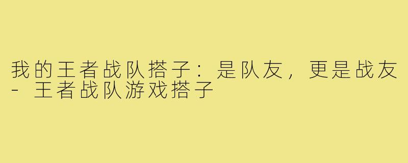 我的王者战队搭子：是队友，更是战友-王者战队游戏搭子