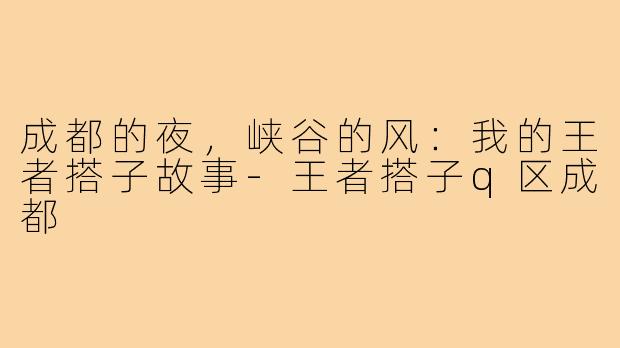 成都的夜，峡谷的风：我的王者搭子故事-王者搭子q区成都