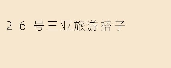 26号三亚旅游搭子