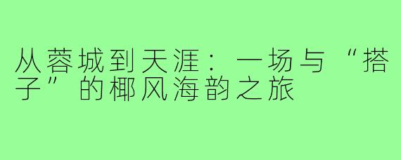 从蓉城到天涯:一场与“搭子”的椰风海韵之旅