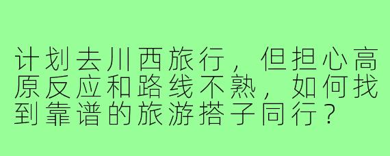 计划去川西旅行，但担心高原反应和路线不熟，如何找到靠谱的旅游搭子同行？