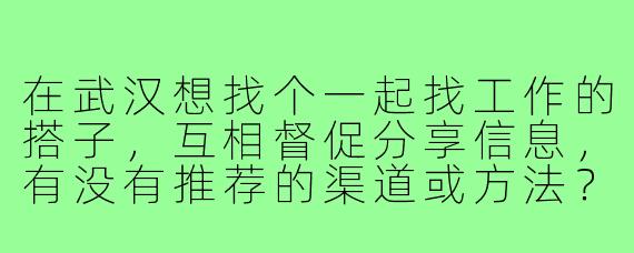 在武汉想找个一起找工作的搭子,互相督促分享信息,有没有推荐的渠道或方法?