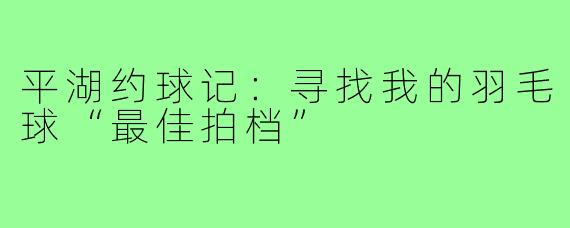 平湖约球记：寻找我的羽毛球“最佳拍档”