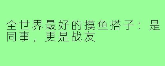 全世界最好的摸鱼搭子：是同事，更是战友