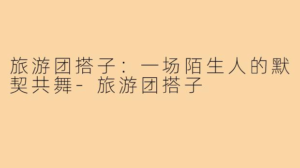 旅游团搭子:一场陌生人的默契共舞-旅游团搭子
