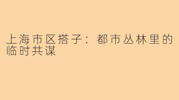 上海市区搭子：都市丛林里的临时共谋
