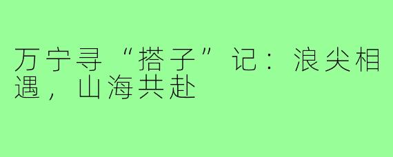 万宁寻“搭子”记:浪尖相遇,山海共赴