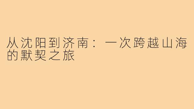 从沈阳到济南:一次跨越山海的默契之旅