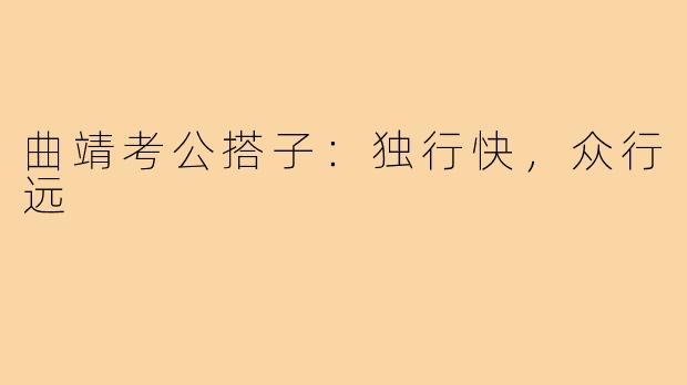 曲靖考公搭子:独行快,众行远