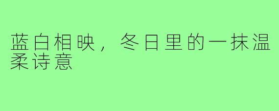 蓝白相映，冬日里的一抹温柔诗意