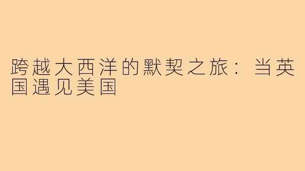 跨越大西洋的默契之旅：当英国遇见美国