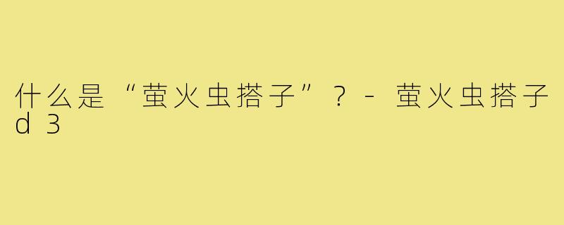 什么是“萤火虫搭子”？-萤火虫搭子d3