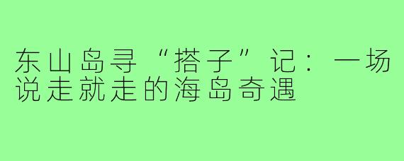 东山岛寻“搭子”记:一场说走就走的海岛奇遇