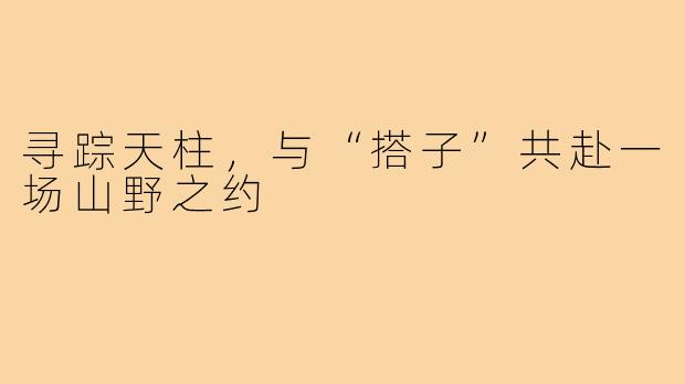 寻踪天柱，与“搭子”共赴一场山野之约