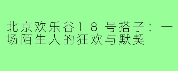 北京欢乐谷18号搭子：一场陌生人的狂欢与默契