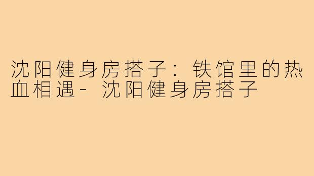 沈阳健身房搭子：铁馆里的热血相遇-沈阳健身房搭子