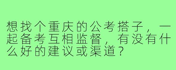 想找个重庆的公考搭子，一起备考互相监督，有没有什么好的建议或渠道？