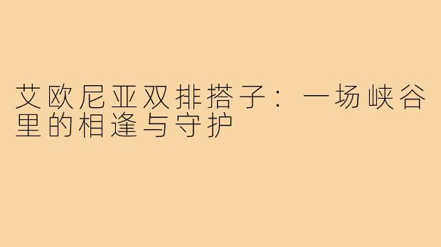 艾欧尼亚双排搭子：一场峡谷里的相逢与守护
