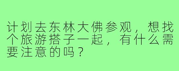 计划去东林大佛参观,想找个旅游搭子一起,有什么需要注意的吗?