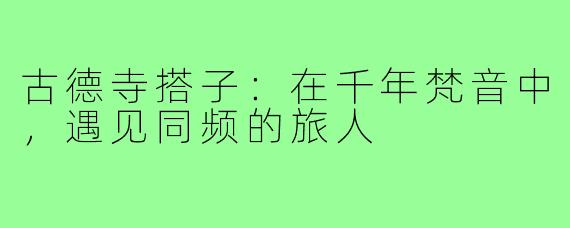 古德寺搭子:在千年梵音中,遇见同频的旅人