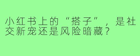 小红书上的“搭子”,是社交新宠还是风险暗藏?