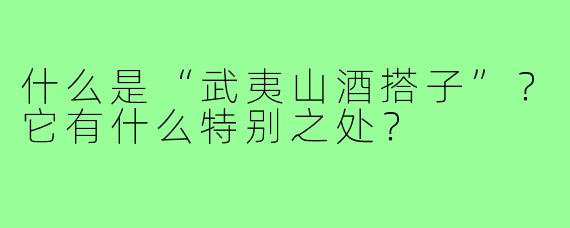 什么是“武夷山酒搭子”？它有什么特别之处？