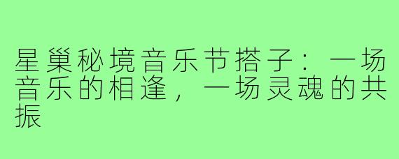 星巢秘境音乐节搭子：一场音乐的相逢，一场灵魂的共振