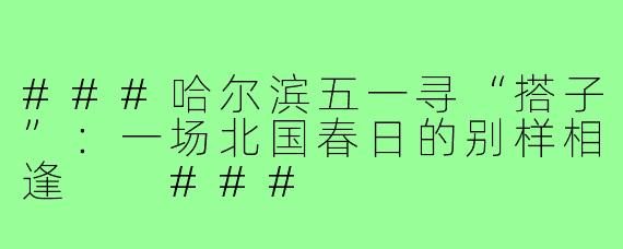 ###哈尔滨五一寻“搭子”：一场北国春日的别样相逢

###