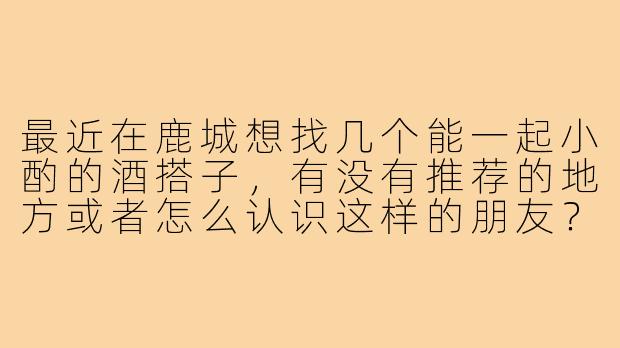 最近在鹿城想找几个能一起小酌的酒搭子,有没有推荐的地方或者怎么认识这样的朋友?喜欢安静聊天的氛围,不要太吵。-温州鹿城喝酒搭子