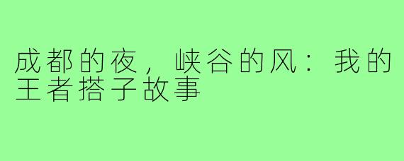 成都的夜，峡谷的风：我的王者搭子故事