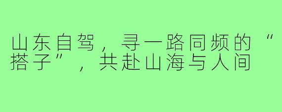 山东自驾,寻一路同频的“搭子”,共赴山海与人间