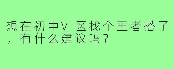 想在初中V区找个王者搭子，有什么建议吗？