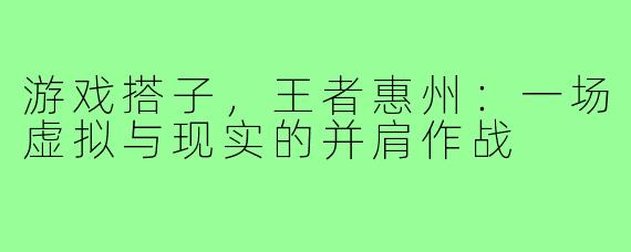游戏搭子，王者惠州：一场虚拟与现实的并肩作战
