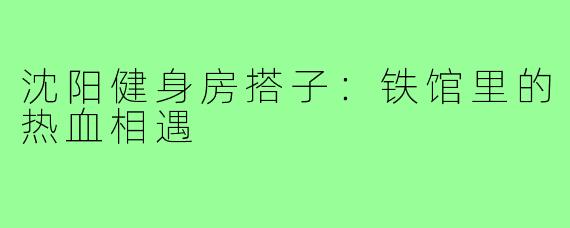 沈阳健身房搭子：铁馆里的热血相遇