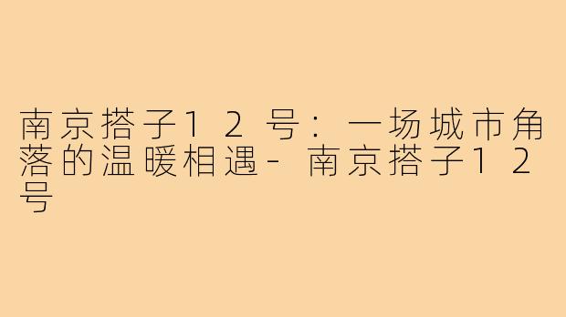 南京搭子12号:一场城市角落的温暖相遇-南京搭子12号