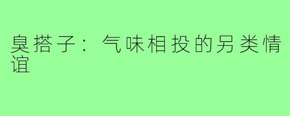 臭搭子：气味相投的另类情谊