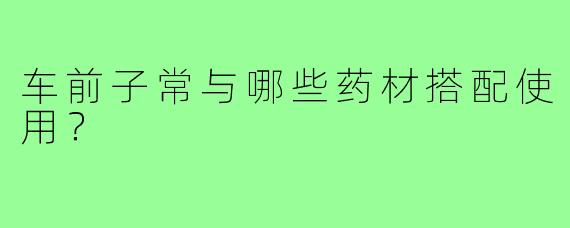 车前子常与哪些药材搭配使用？