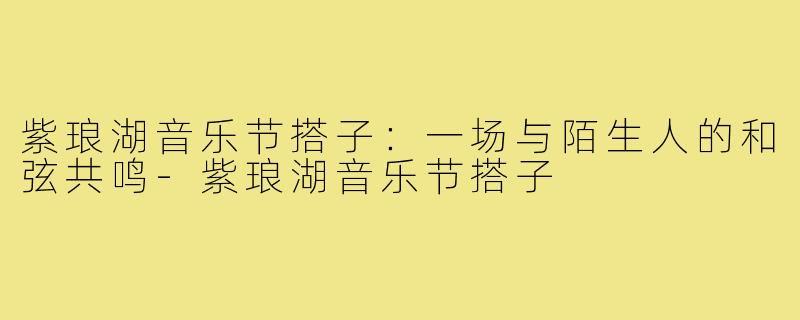 紫琅湖音乐节搭子：一场与陌生人的和弦共鸣-紫琅湖音乐节搭子