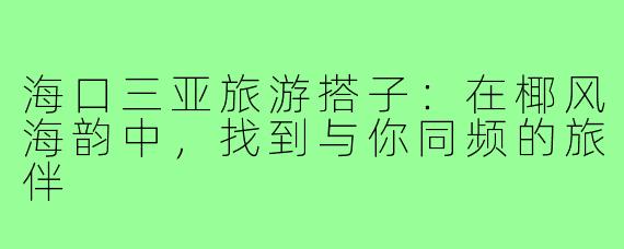 海口三亚旅游搭子：在椰风海韵中，找到与你同频的旅伴