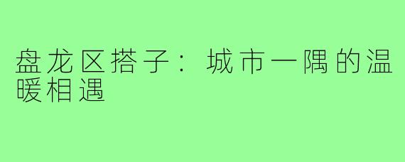 盘龙区搭子：城市一隅的温暖相遇