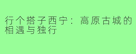 行个搭子西宁:高原古城的相遇与独行